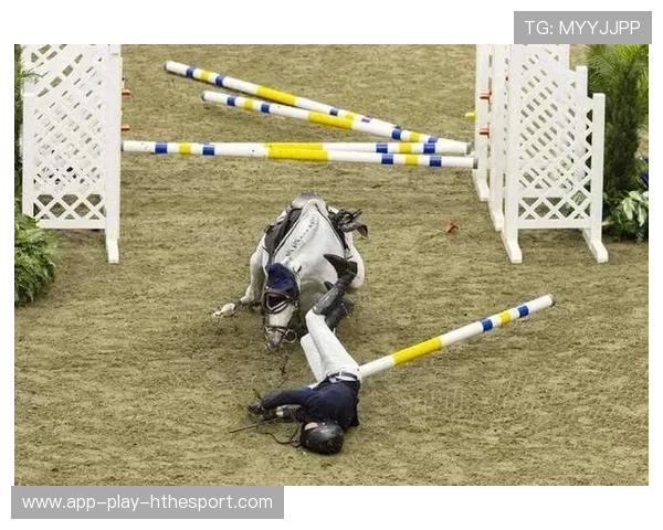 马术障碍赛训练重复度提升，马匹状态保持稳定